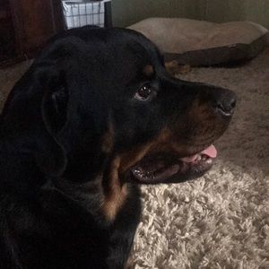 Meet your Posher, Jenna